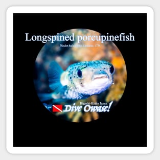 Longspined Porcupinefish Sticker